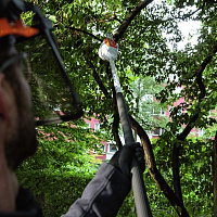 STIHL HTA 66 Аккумуляторный высоторез STIHL LA032000001, Высоторезы аккумуляторные Штиль